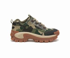 Caterpillar Intruder Sneakers Dame Camo | 748065-CJN